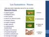 Spanish for Nurses Grammar Part I